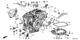 Diagram for Honda HR-V Drain Plug - 90081-5T0-003