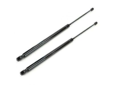 Honda Tailgate Lift Support - 74820-T0G-A01
