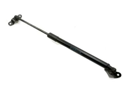 Honda Tailgate Lift Support - 74820-T5R-A01