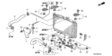 Diagram for Honda Transmission Oil Cooler Hose - 25213-RAA-013