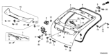 Diagram for Honda Tailgate Lift Support - 74820-TP6-A11