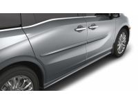 Honda Odyssey Body Side Molding - 08P05-THR-131