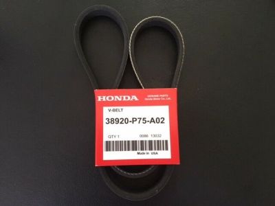 1990 Honda CRX Drive Belt & V Belt - 38920-P75-A02