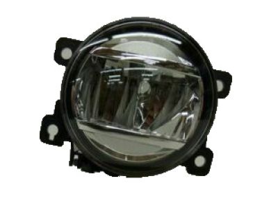 Honda Fog Light - 33900-TEY-Y01
