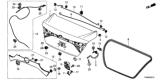Diagram for Honda Trunk Lids - 68500-TXM-A91ZZ