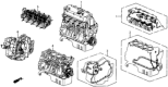 Diagram for 1989 Honda CRX Cylinder Head - 10003-PM5-A11