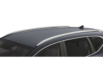 Honda Roof Rails 08L02-TLA-100B