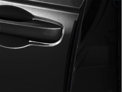 Honda Door Edge Guards 08P20-30A-170