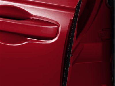 Honda Door Edge Guards 08P20-30A-1A0