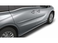 Honda Passport Body Side Molding - 08P05-THR-131