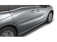 Honda Passport Body Side Molding - 08P05-THR-1B1