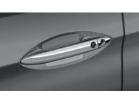 Honda Ridgeline Door Handle - 08P48-T6Z-100A