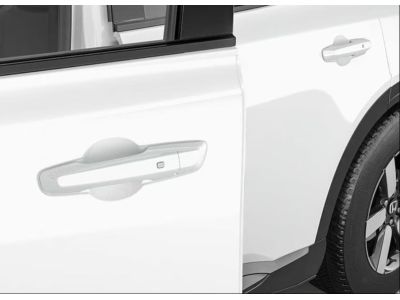 Honda Door Edge Film 08P20-PS2-100