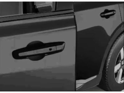 Honda Door Edge Guards - Raven Black 08P20-PS2-110A