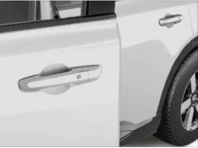 Honda Door Edge Guards - Snowfall Pearl 08P20-PS2-120A