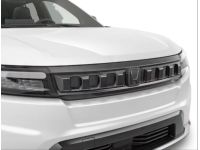 Honda Grille - 08F21-PS2-100