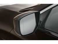 Honda Expanded View Mirror