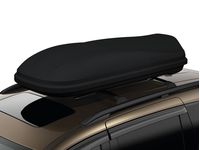 Honda Odyssey Roof Box - 08L20-TA1-100A