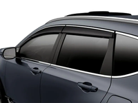 Door Visor