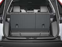 Seat Back Protector