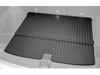 Honda Passport Cargo Tray - 08U45-TGS-100