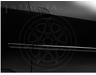 Honda Element Body Side Molding