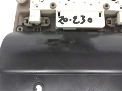 Honda 83250-S84-A01ZG Console Assy., Roof *YR204L* (LIGHT SADDLE)