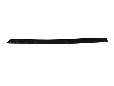 2013 Honda Ridgeline Weather Strip - 72867-SJC-A02