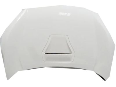 2021 Honda Civic Hood - 60100-TGH-A00ZZ