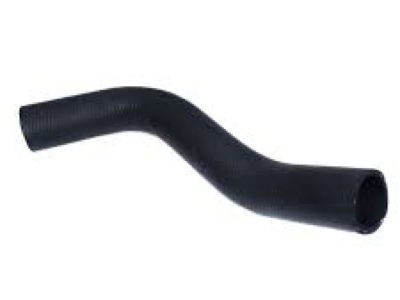 Honda 19502-R1A-A01 Hose, Water (Lower)