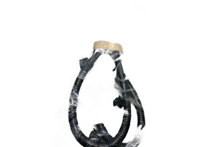 Honda Insight Antenna Cable - 39156-TXM-A11