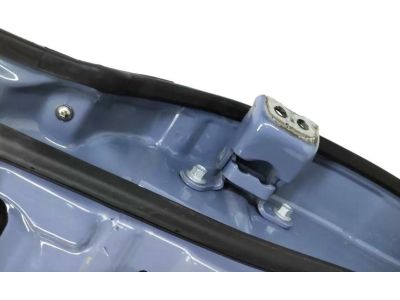 Honda 67550-T6Z-A10ZZ