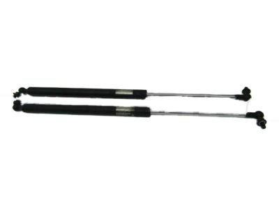 Honda Insight Lift Support - 04746-TM8-A00