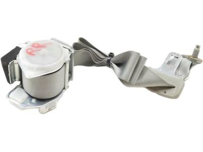 Honda 04824-TS8-A00ZA