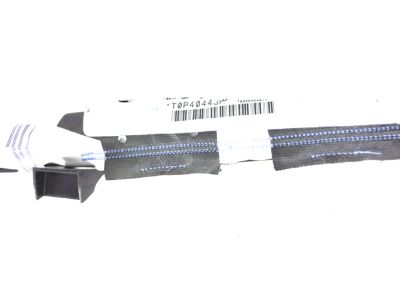 Honda 78875-THR-A81 Module Set, Driver Side Curtain Airbag