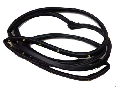 2000 Honda Odyssey Weather Strip - 72310-S0X-A01