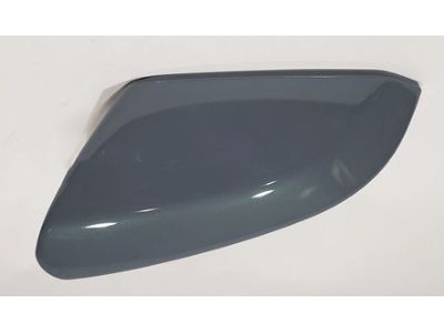 2017 Honda Civic Mirror Cover - 76251-TBA-A21YJ