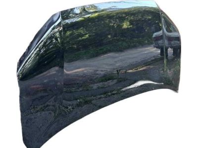 Honda 60100-T6Z-A00ZZ