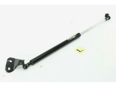 Honda Accord Lift Support - 74195-T2G-316