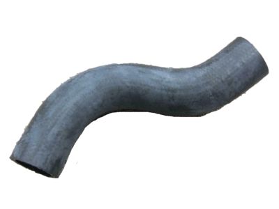 Honda 19502-PNB-000 Hose, Water (Lower)