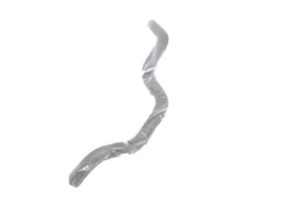 Honda 19507-59B-003 Hose, Th Body In