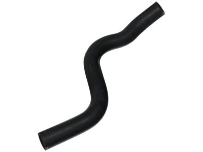 2007 Honda Ridgeline Cooling Hose - 19501-RJE-A01