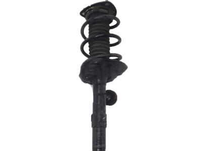 Honda Accord Coil Springs - 51406-T2A-A11