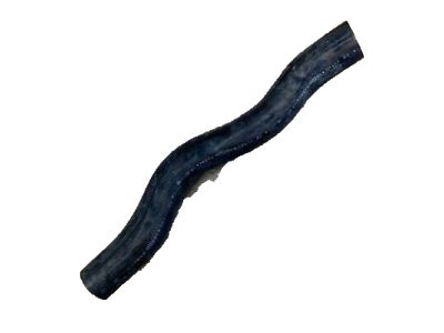 Honda Civic Radiator Hose - 19501-RX0-A01