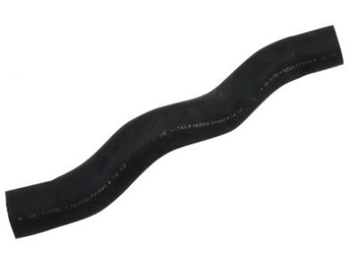 2013 Honda Crosstour Radiator Hose - 19501-R53-A00