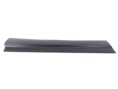 Honda Passport Door Moldings - 75332-TG7-A02