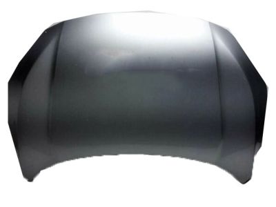 Honda Hood - 60100-TGG-A00ZZ