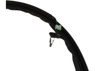 2019 Honda Odyssey Door Seal - 72812-THR-A11