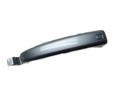 Honda 72680-SHJ-A11ZK Handle Assembly, Driver Side Slide Door (Outer) (Nimbus Gray Metallic)