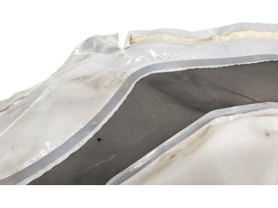 2012 Honda Accord Door Seal - 72361-TE0-A01